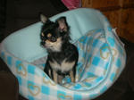 DSCN3673.JPG