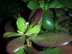 DSCN3689.JPG