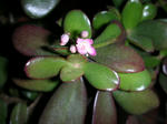DSCN3768.JPG