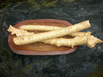 DSCN3771.JPG