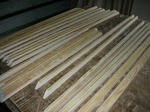 DSCN3772.JPG