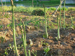 DSCN3869.JPG