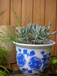 DSCN3970.JPG