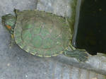 DSCN3866.JPG