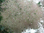DSCN3984.JPG
