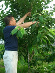 DSCN3988.JPG