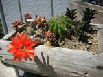 DSCN3989.JPG