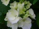 DSCN3986.JPG