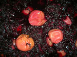 DSCN4002.JPG