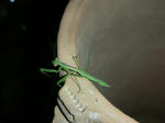 DSCN4008.JPG