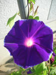 DSCN4004.JPG