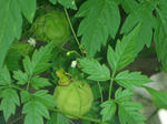 DSCN4049.JPG