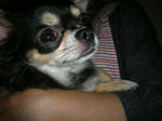 DSCN4054.JPG