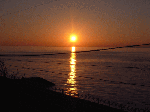 image21.gif