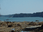 image507.gif