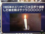 91237002.jpeg