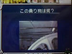 7d43a89a.jpeg