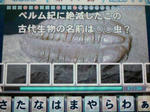204a407c.jpeg