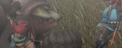 本日のババコ。