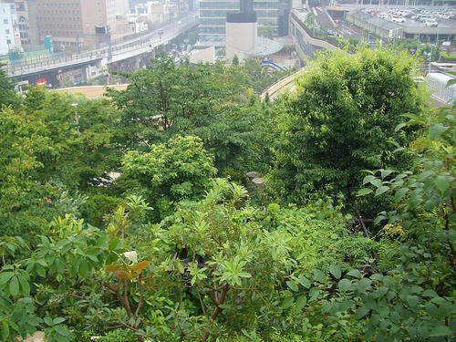 何だかなぁ…