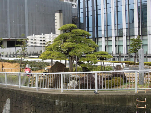 蛸の松