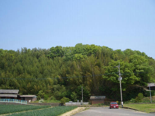 羽床城址