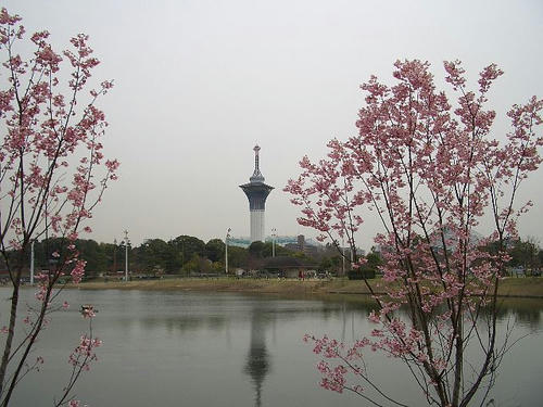 いのちの塔