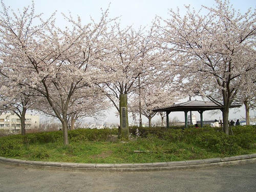 頂上