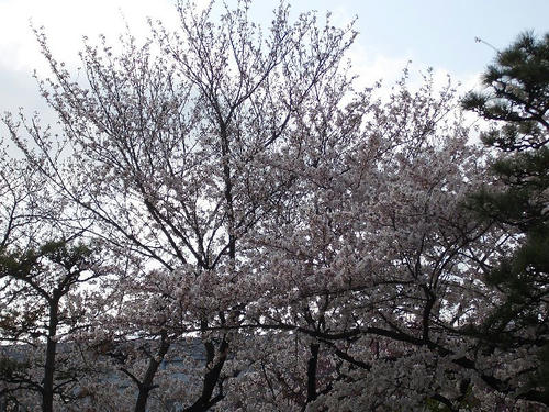 通勤途中3