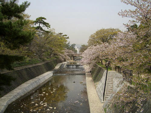 夙川公園1