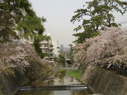 夙川公園3