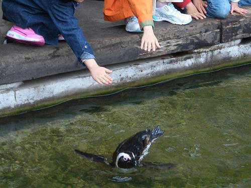 おいおい、落ちるなよ