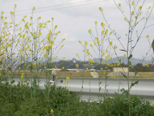 上野城