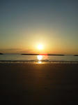 NEC_0456.JPG