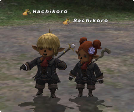 ●achikoro