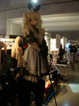 d01.jpg