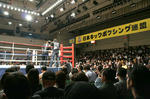 IMG_8440.jpg