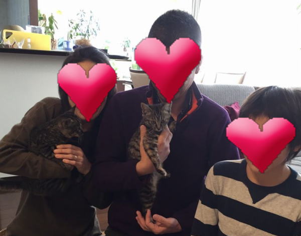 アニサポ保護猫里親募集