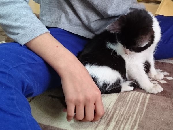 子猫のクリクリお目目はなにを映しているのかな？