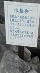 NEC_0248.jpg