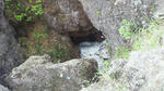 NEC_0254.jpg