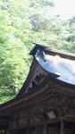 NEC_0298.jpg