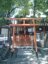 Takahama-t03.jpg