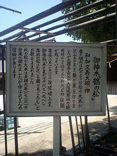 Takahama-t04.jpg