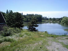 Hasumagaike01.jpg