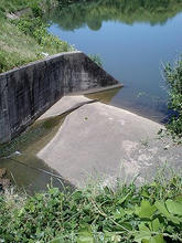 Hasumagaike03.jpg