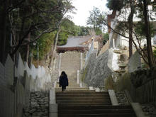 sCIMG0745.jpg