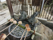 sCIMG0746.jpg