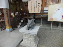 sCIMG0749.jpg