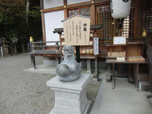sCIMG0752.jpg